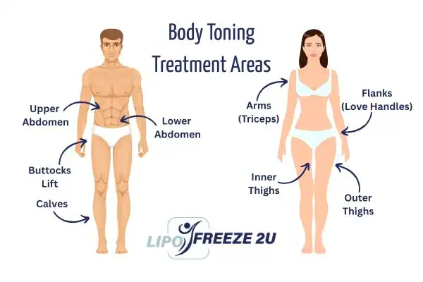 Graphic showing where you can have Body toning Treatment Andover on your body